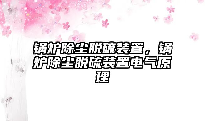 鍋爐除塵脫硫裝置，鍋爐除塵脫硫裝置電氣原理