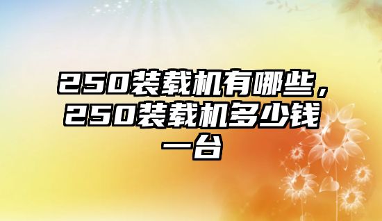 250裝載機有哪些，250裝載機多少錢一臺