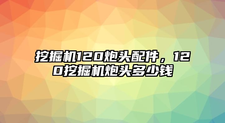 挖掘機120炮頭配件，120挖掘機炮頭多少錢