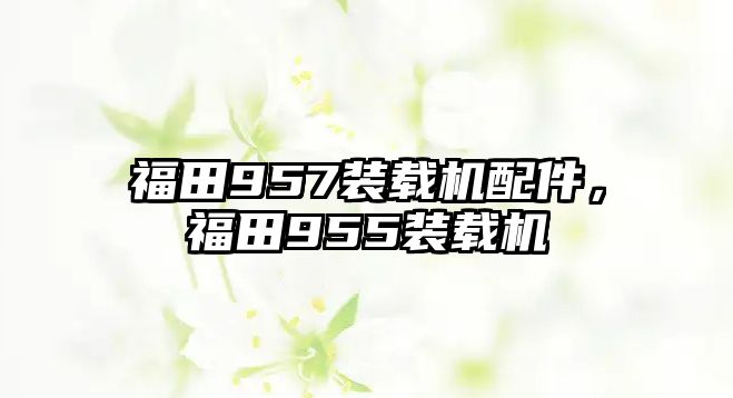 福田957裝載機(jī)配件，福田955裝載機(jī)