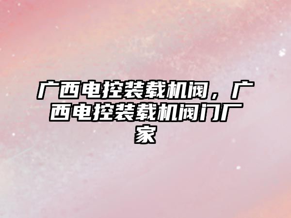 廣西電控裝載機閥，廣西電控裝載機閥門廠家