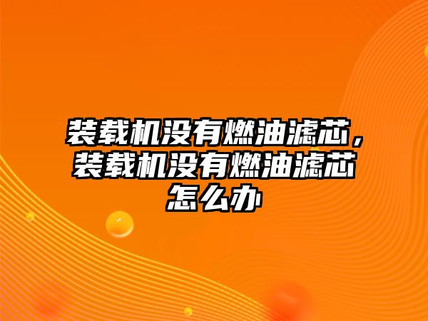 裝載機沒有燃油濾芯，裝載機沒有燃油濾芯怎么辦