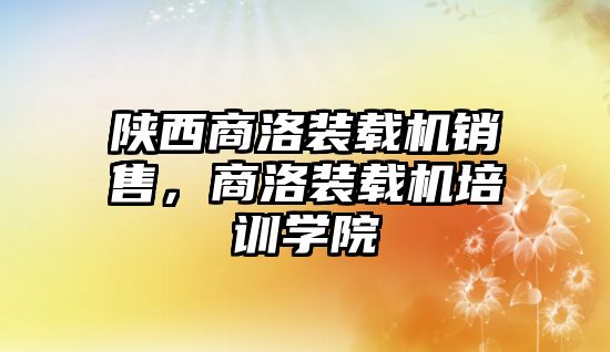 陜西商洛裝載機銷售，商洛裝載機培訓學院