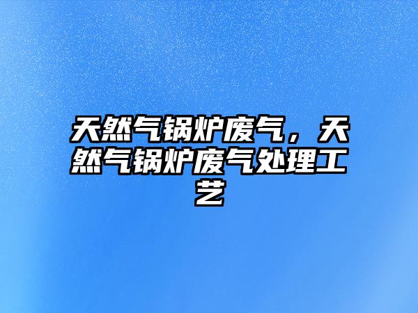 天然氣鍋爐廢氣，天然氣鍋爐廢氣處理工藝