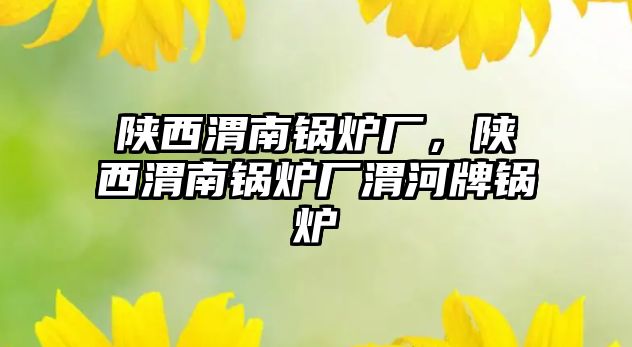 陜西渭南鍋爐廠，陜西渭南鍋爐廠渭河牌鍋爐