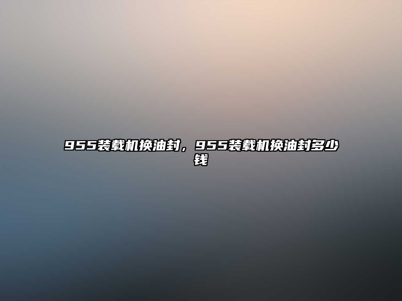 955裝載機(jī)換油封，955裝載機(jī)換油封多少錢