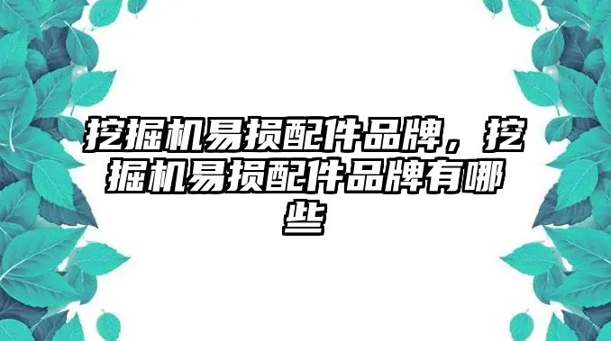 挖掘機(jī)易損配件品牌，挖掘機(jī)易損配件品牌有哪些