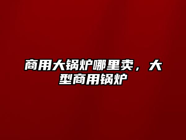 商用大鍋爐哪里賣，大型商用鍋爐