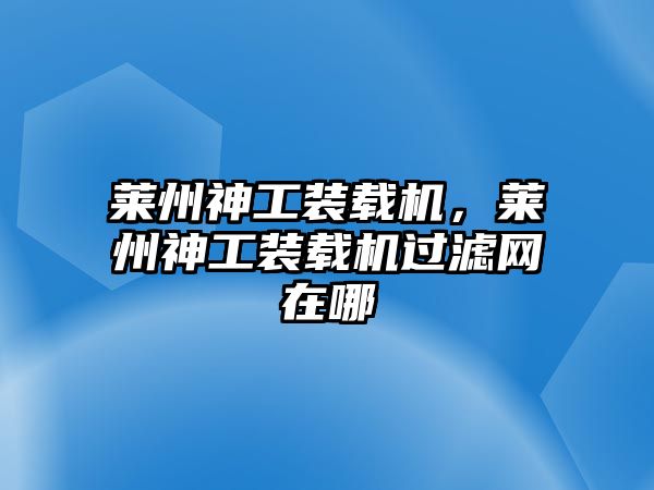 萊州神工裝載機，萊州神工裝載機過濾網(wǎng)在哪