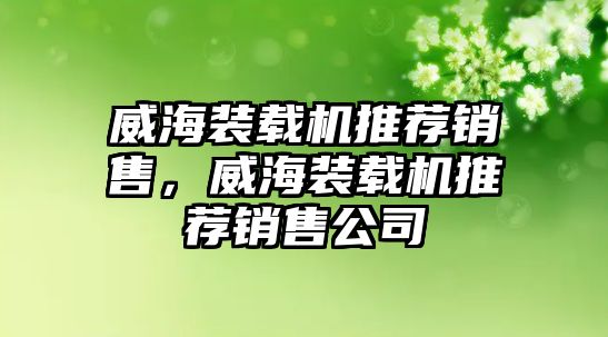 威海裝載機(jī)推薦銷售，威海裝載機(jī)推薦銷售公司