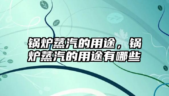 鍋爐蒸汽的用途，鍋爐蒸汽的用途有哪些