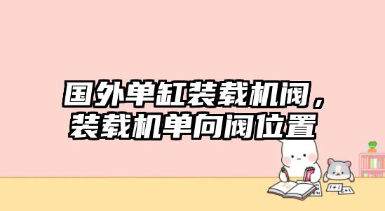 國外單缸裝載機閥，裝載機單向閥位置