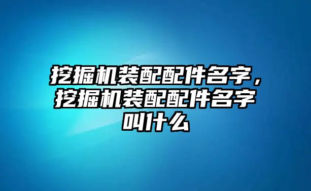 挖掘機(jī)裝配配件名字，挖掘機(jī)裝配配件名字叫什么