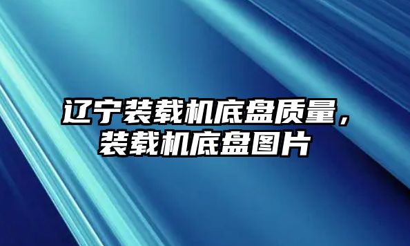 遼寧裝載機底盤質(zhì)量，裝載機底盤圖片