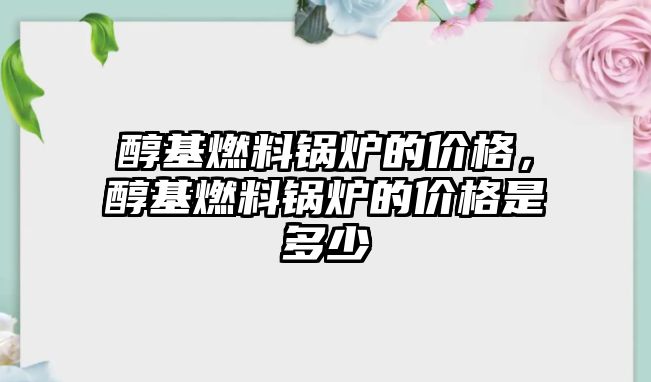 醇基燃料鍋爐的價格，醇基燃料鍋爐的價格是多少