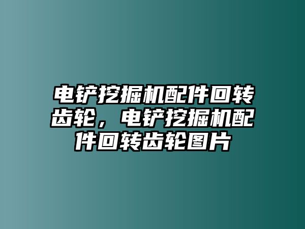 電鏟挖掘機配件回轉(zhuǎn)齒輪，電鏟挖掘機配件回轉(zhuǎn)齒輪圖片