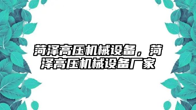 菏澤高壓機械設(shè)備，菏澤高壓機械設(shè)備廠家