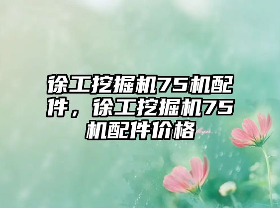 徐工挖掘機(jī)75機(jī)配件，徐工挖掘機(jī)75機(jī)配件價(jià)格