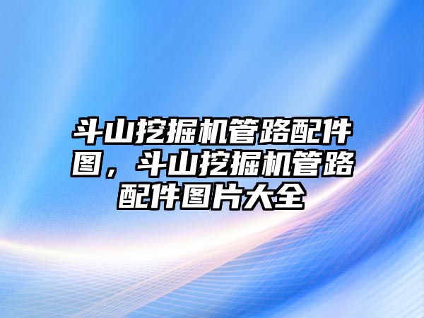 斗山挖掘機管路配件圖，斗山挖掘機管路配件圖片大全