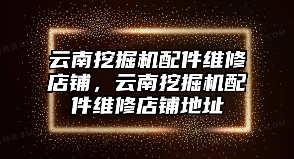 云南挖掘機(jī)配件維修店鋪，云南挖掘機(jī)配件維修店鋪地址