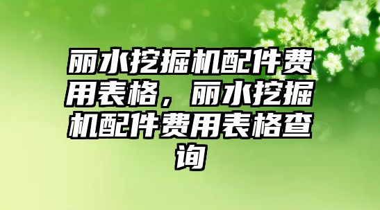 麗水挖掘機配件費用表格，麗水挖掘機配件費用表格查詢