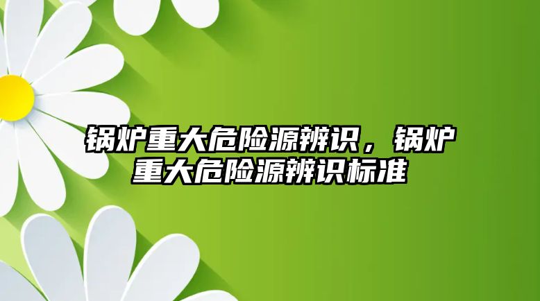 鍋爐重大危險源辨識，鍋爐重大危險源辨識標準