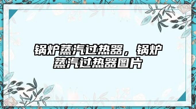 鍋爐蒸汽過熱器，鍋爐蒸汽過熱器圖片