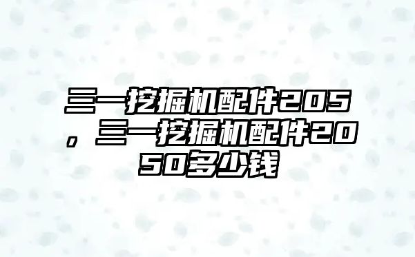 三一挖掘機(jī)配件205，三一挖掘機(jī)配件2050多少錢(qián)