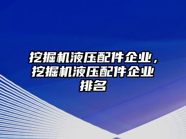 挖掘機液壓配件企業(yè)，挖掘機液壓配件企業(yè)排名