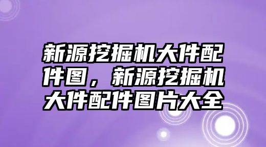 新源挖掘機(jī)大件配件圖，新源挖掘機(jī)大件配件圖片大全