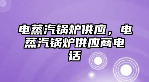 電蒸汽鍋爐供應，電蒸汽鍋爐供應商電話