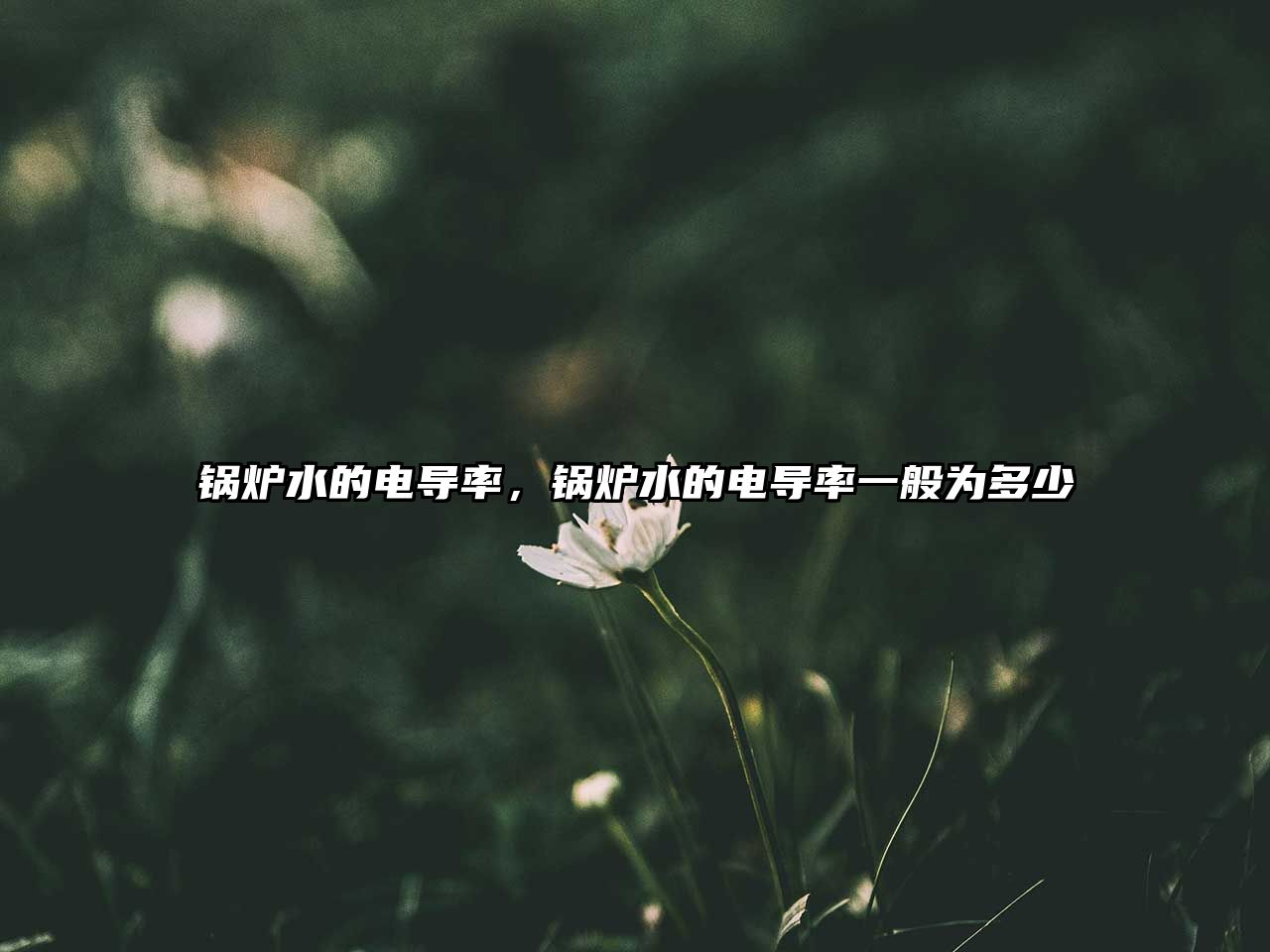 鍋爐水的電導(dǎo)率，鍋爐水的電導(dǎo)率一般為多少