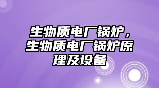 生物質(zhì)電廠鍋爐，生物質(zhì)電廠鍋爐原理及設(shè)備