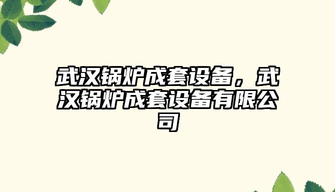 武漢鍋爐成套設(shè)備，武漢鍋爐成套設(shè)備有限公司