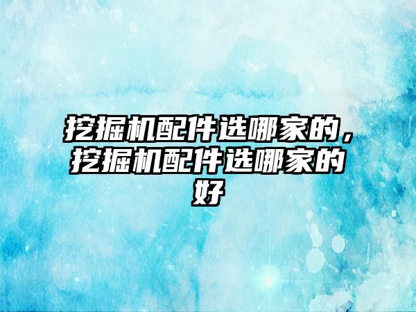 挖掘機(jī)配件選哪家的，挖掘機(jī)配件選哪家的好