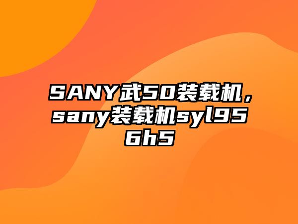 SANY武50裝載機(jī)，sany裝載機(jī)syl956h5