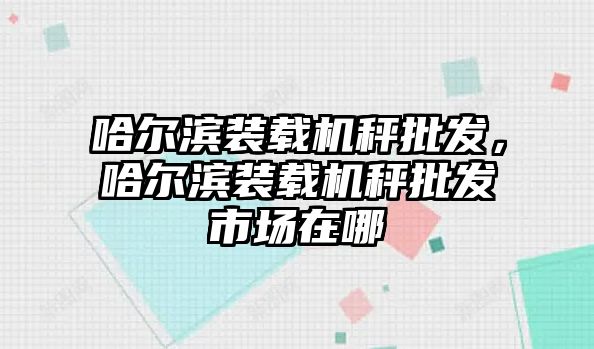 哈爾濱裝載機(jī)秤批發(fā)，哈爾濱裝載機(jī)秤批發(fā)市場(chǎng)在哪