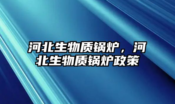 河北生物質鍋爐，河北生物質鍋爐政策