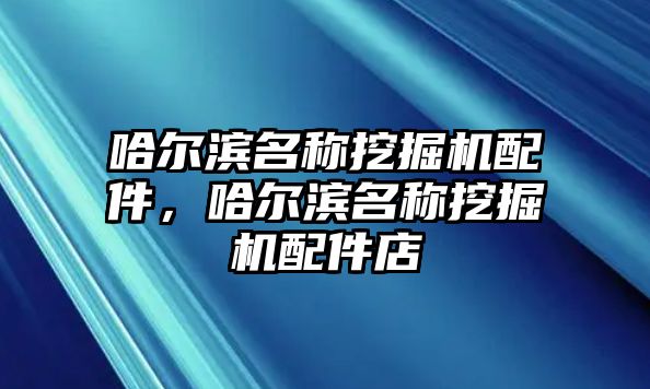 哈爾濱名稱挖掘機配件，哈爾濱名稱挖掘機配件店