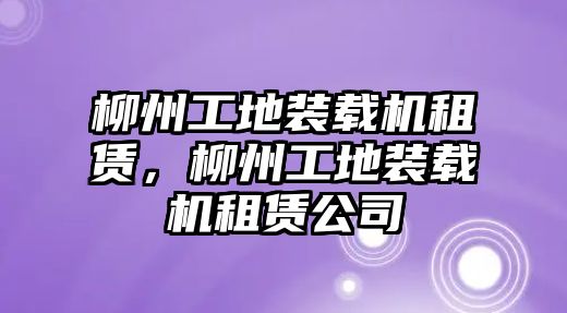 柳州工地裝載機租賃，柳州工地裝載機租賃公司