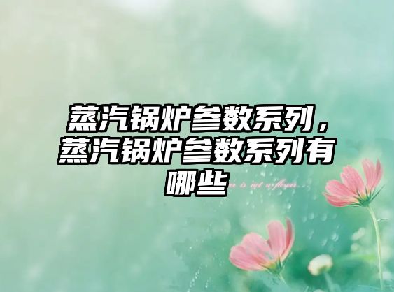 蒸汽鍋爐參數(shù)系列，蒸汽鍋爐參數(shù)系列有哪些