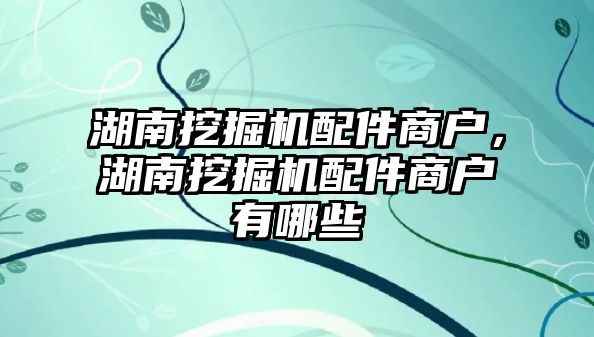 湖南挖掘機配件商戶，湖南挖掘機配件商戶有哪些