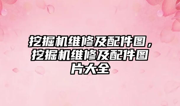 挖掘機維修及配件圖，挖掘機維修及配件圖片大全