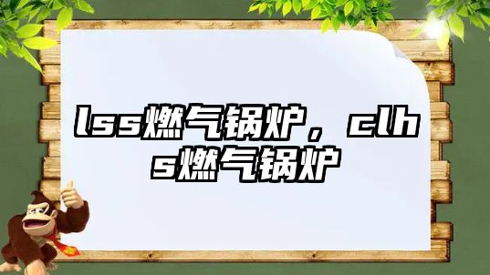 lss燃?xì)忮仩t，clhs燃?xì)忮仩t