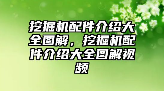 挖掘機配件介紹大全圖解，挖掘機配件介紹大全圖解視頻