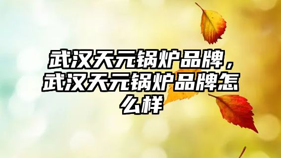 武漢天元鍋爐品牌，武漢天元鍋爐品牌怎么樣