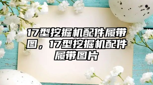 17型挖掘機配件履帶圖，17型挖掘機配件履帶圖片