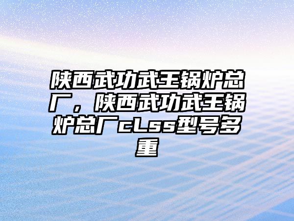 陜西武功武王鍋爐總廠，陜西武功武王鍋爐總廠cLss型號多重