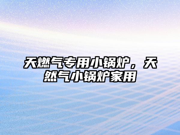 天燃?xì)鈱Ｓ眯″仩t，天然氣小鍋爐家用