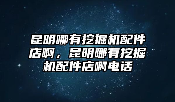 昆明哪有挖掘機配件店啊，昆明哪有挖掘機配件店啊電話